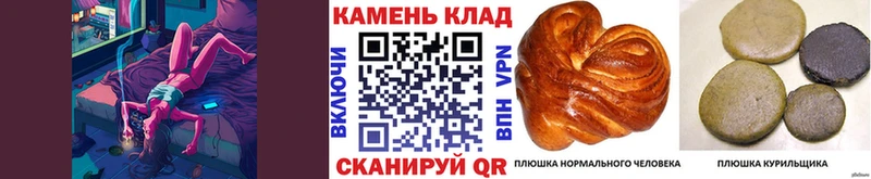 цена   сайты даркнета состав  ГАШ AMNESIA HAZE  Духовщина 