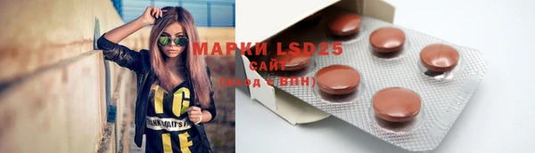 стаф Липки