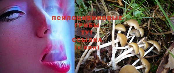 твердый Майский