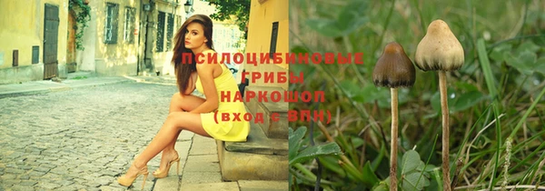 круглые Магас